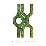 کاشی دست ساز مدل هوک